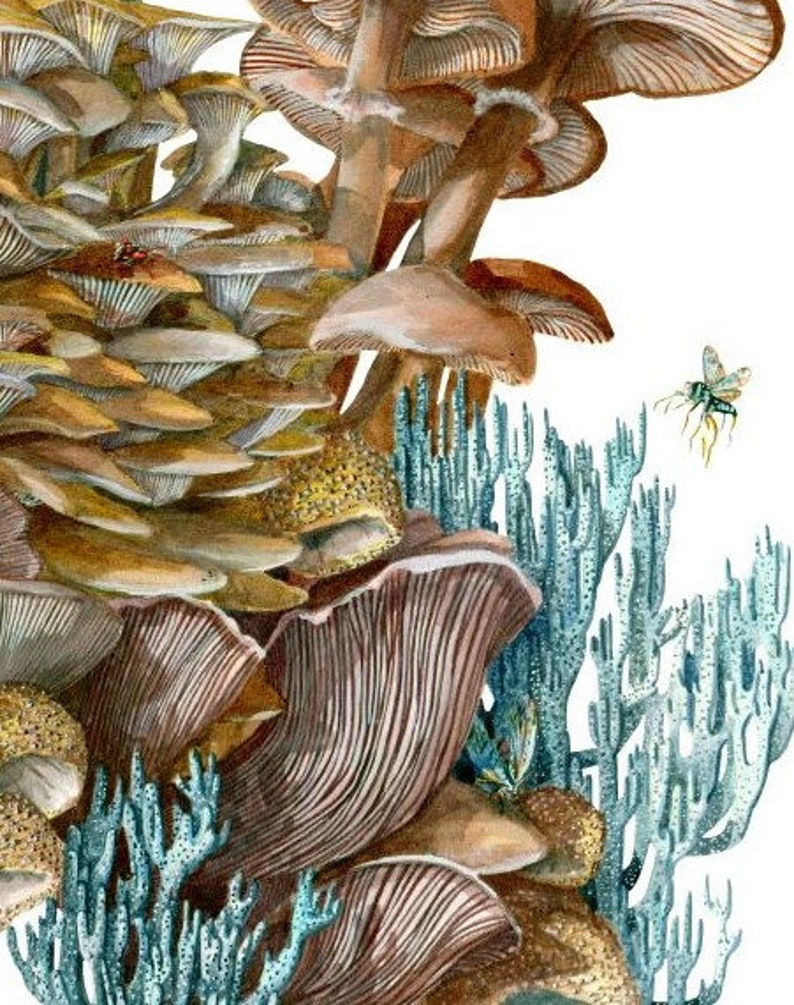 The Last of Us A Mushroom World Art Print and Fungi Gift Etsy