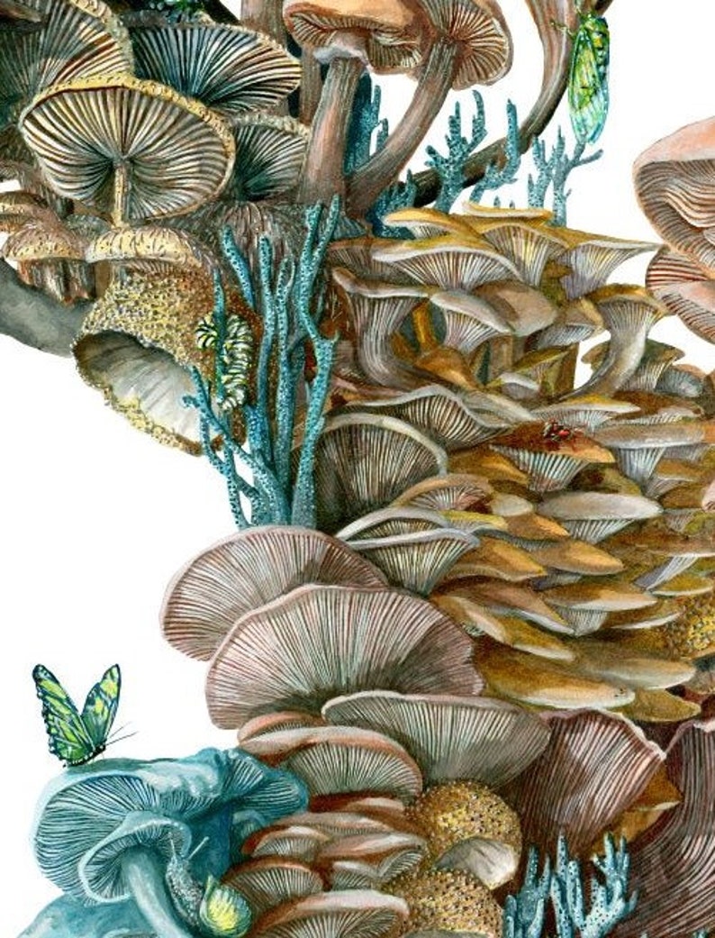 The Last of Us A Mushroom World Kunstdruck und Pilze Geschenk Etsy.de