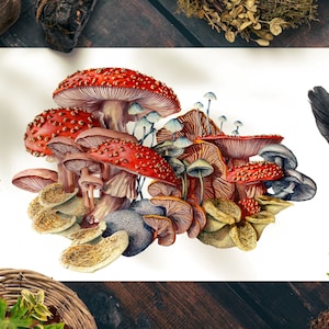 Mushroom Print, Mycology Artwork, Fantasy Watercolor Art Print, Fungi Poster