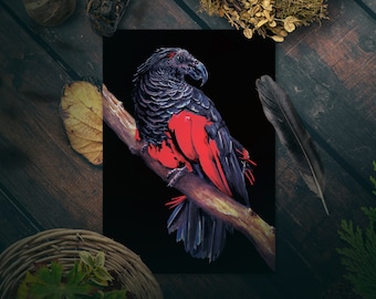 Dracula Papagei Art Print, Dark Nature Poster Goth Geschenk