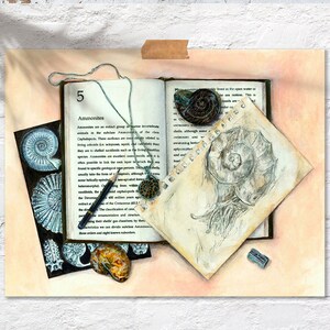 Ammonites Art Print, Science Poster