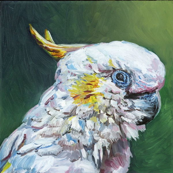 Vibrant Cockatoo: Small Original Oil Painting