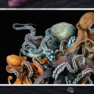 Octopus Art Print, Ocean Decor