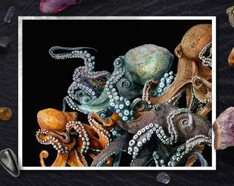 Octopus Art Print, Ocean Decor