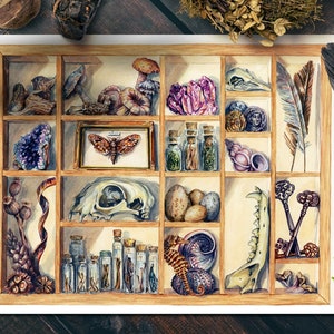 Museumssammlung Kunstdruck, Vitrinengemälde, Poster