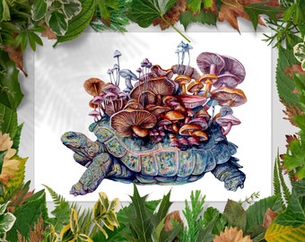 Mushroom Tortoise Wall Art
