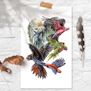 Australian Parrots Art Print, Cockatoos, King Parrots and Lorikeet Poster