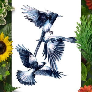Magpies Art Print, Bird Poster