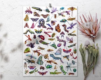 Insects Art Print, Science Poster