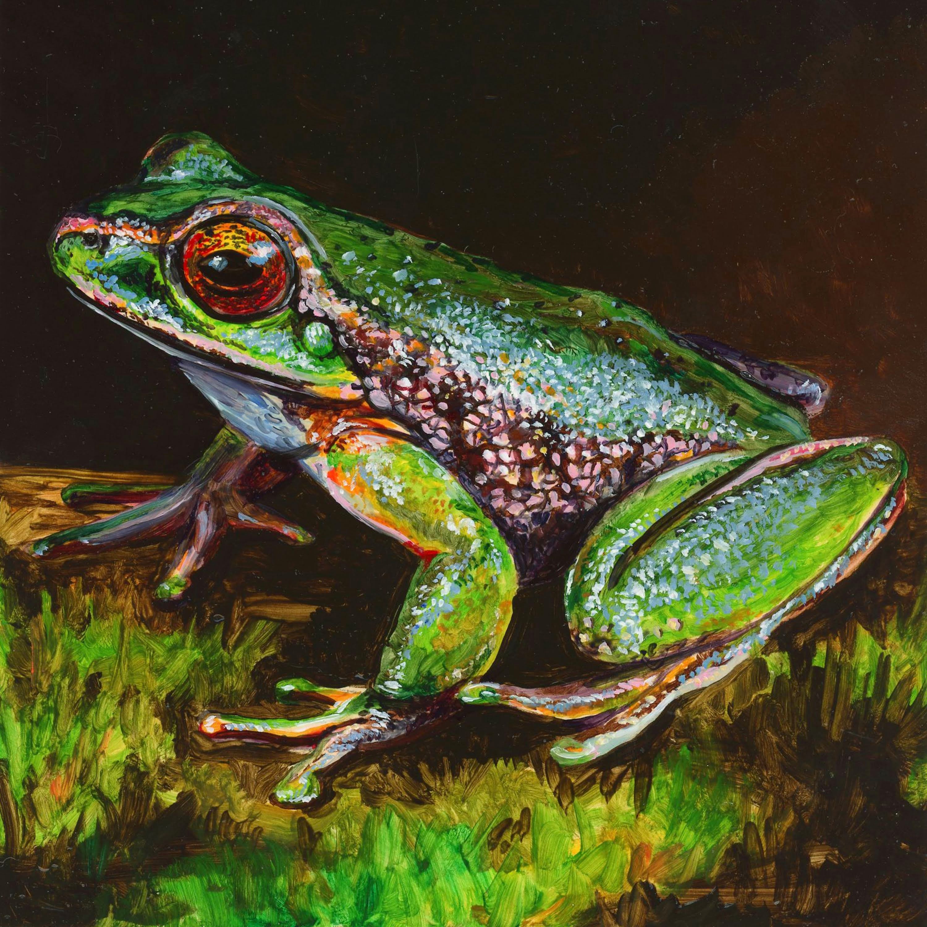 Whimsical Frog in Forest Small Oil Painting Etsy Canada