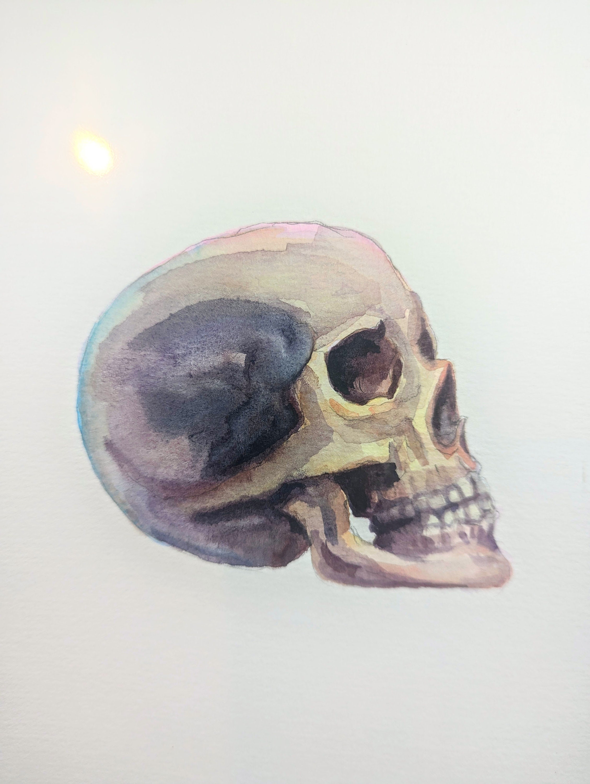 絵画 羊の頭蓋骨（スカル）絵画 手描き アート作品 【公式通販】