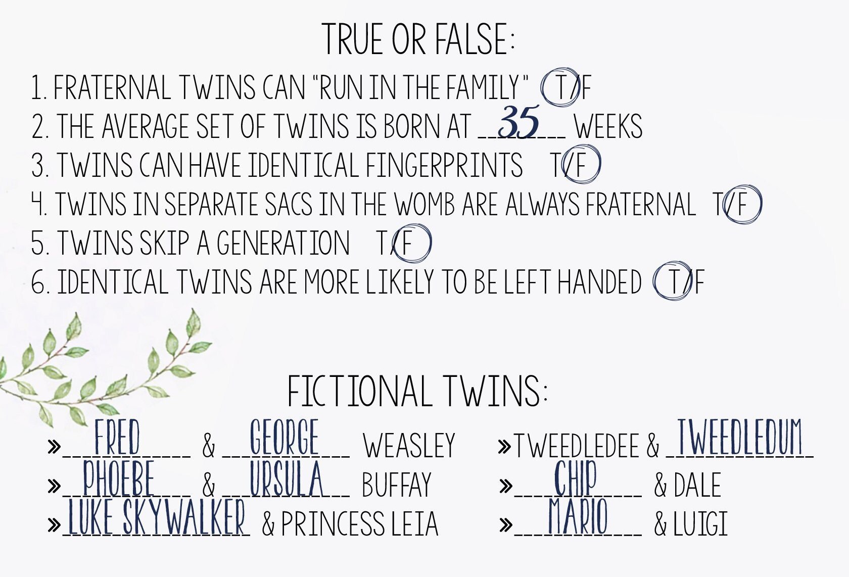 Twin Baby Shower Game : Twin Trivia Questions Instant | Etsy