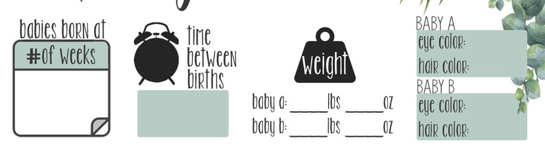 May include: A printable checklist for twins, with sections for the number of weeks between births, the time between births, the weight of each baby in pounds and ounces, and the eye and hair color of each baby.