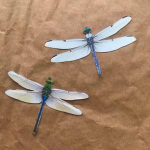 Wall Art Décor 2 Dragonfly Stickers - Insect Decal - Bug Collection Laptop Sticker - Decal