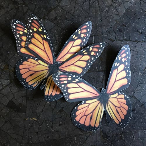 ONE Large Monarch Butterfly Migration Stickers Wall Art | Etsy