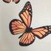 ONE Large Monarch Butterfly Migration Stickers Wall Art Decor for ...