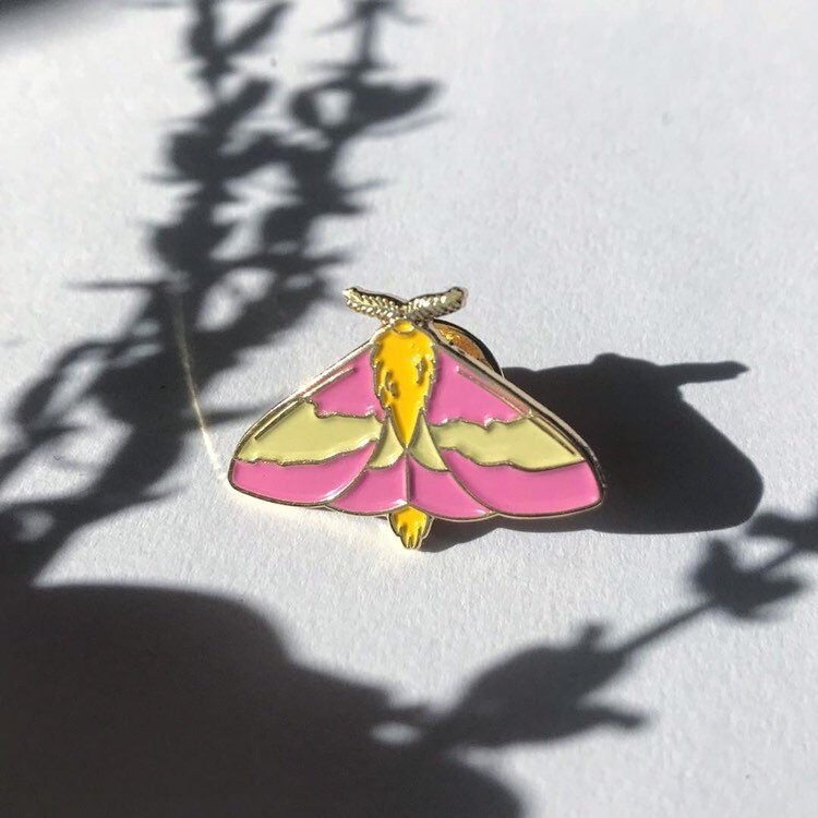 Rosy Maple Moth Enamel Pin Dryocampa Rubicunda Saturniidae Etsy