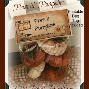 Primitief pompoenpatroon, kleine pompoenen met afdrukbaar taslabel, herfst-pdf-naaipatroon, Halloween,