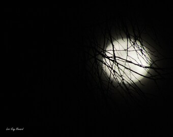 The First Night Fine Art Photography