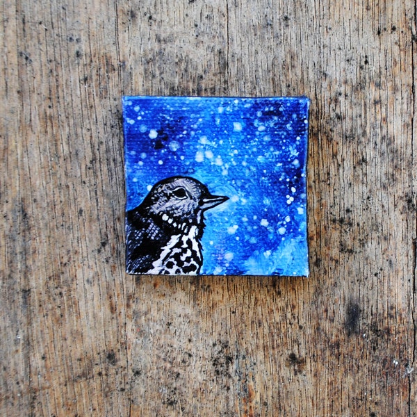 Night Thrush Bird Painting -  Blue.  Indigo.