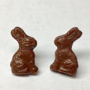 May include: Two brown chocolate bunny figurines. The bunnies are sitting upright with their ears perked up.