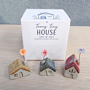 May include: Three miniature ceramic houses with textured roofs and small wire-stemmed flowers. The white packaging box features a blue house illustration and the text "Teeny Tiny HOUSE HANDMADE CERAMIC COLLECTIBLE" in black lettering.