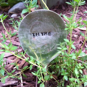 May include: A close-up of a metal garden marker with the word "THYME" engraved on it. The marker is surrounded by green thyme plants growing in a bed of brown mulch.