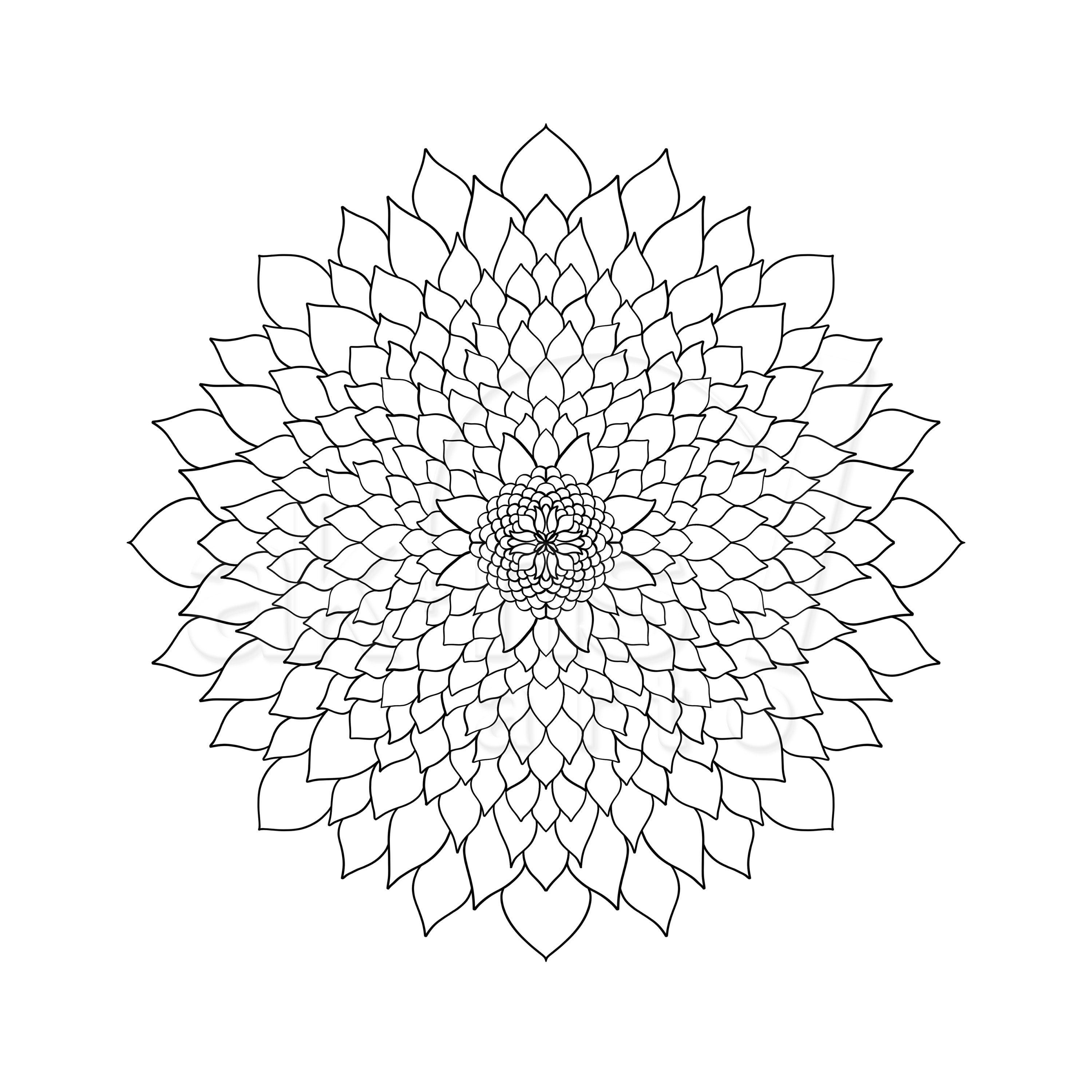 Mandala Flower PNG Clip Art, Black White Flourish Art, Cricut Clipart