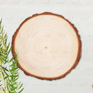 Wood Blank Slice Mockup Background Photography, Natural Wood, Font Lettering Ornament Mock Up, Cricut SVG archivo clipart gráfico arte foto