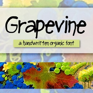 May include: Grapevine, a handwritten organic font, is displayed on a white background with a blurred image of a vineyard in the background. The font is written in black and the text is set against a green background.
