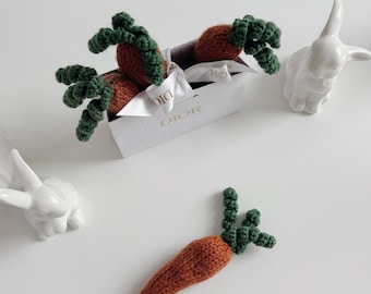 Bunny carrot - Easter photography - Carrot - Newborn girl - Newborn boy - Photo props - Baby props  - Baby accessories