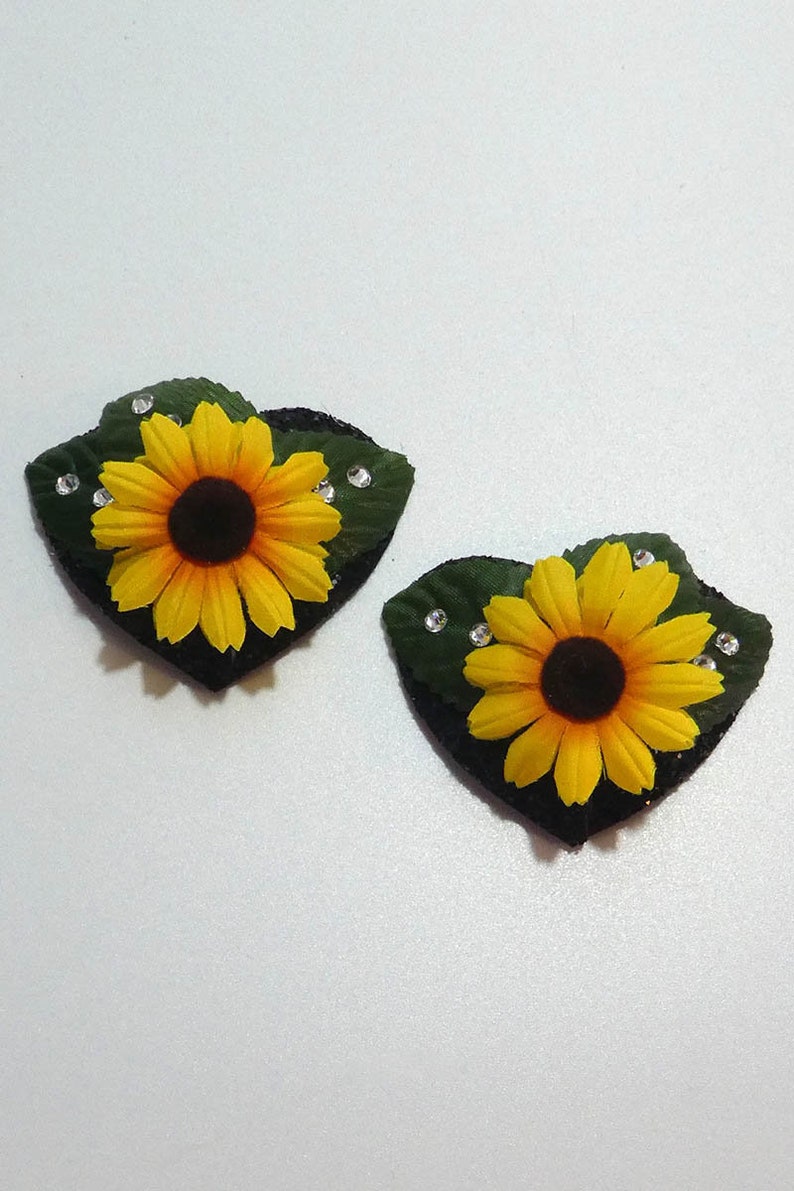 Heart Pasties with Sunflower and Leaves