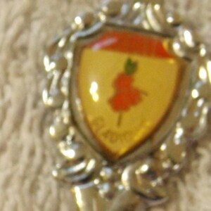 Vintage Souvenir Collector Spoon Month of August Gladiolus  SP-73