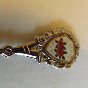 Vintage Souvenir Collector  Spoon, Alberta, Wild Rose  Three Hills SP-44