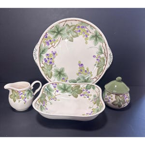 Nikko 5-Piece Hostess Set Semi Porcelain Dinnerware Napa Valley Design New Japan