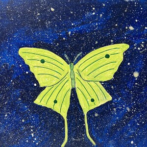 Luna Moth Lunar Butterfly Glow in the Dark Canvas Artwork