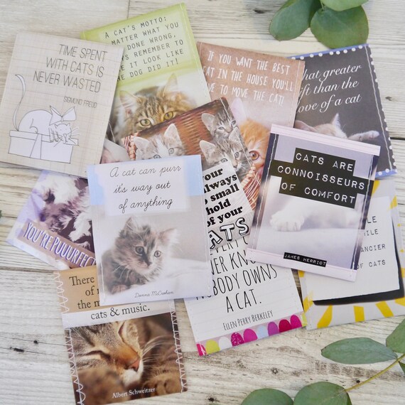 birthday presents for cat lovers