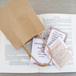 Book Lover Gift: Tea Gift for Bookworms Bookish Gifts Literary Gifts Literary Tea Gifts for Readers Book Nerd Gifts image 8
