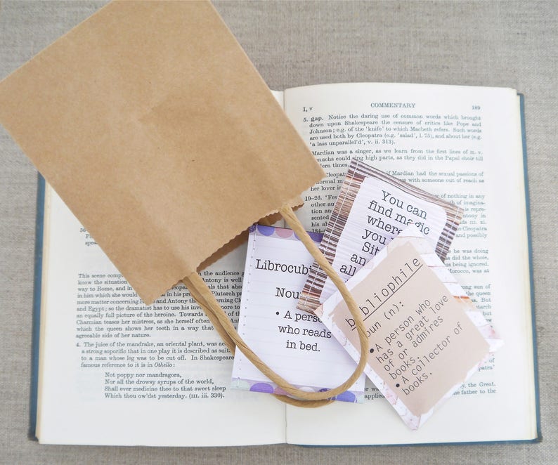 Book Lover Gift: Tea Gift for Bookworms Bookish Gifts Literary Gifts Literary Tea Gifts for Readers Book Nerd Gifts image 8