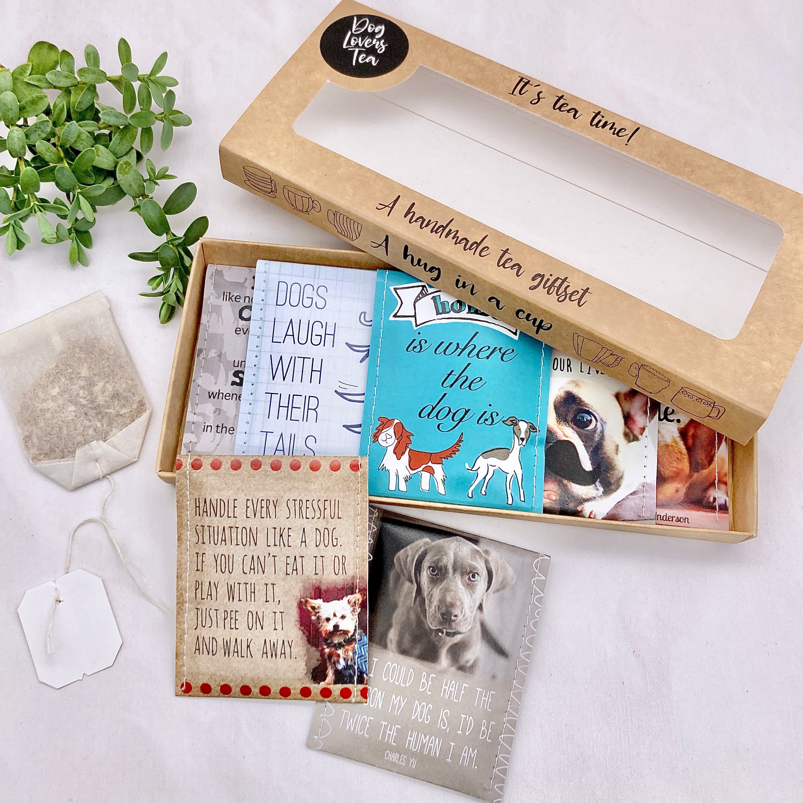 Why Is My Dog Suddenly Eating Paper