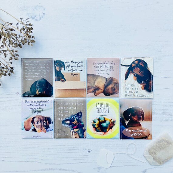 Gifts for sausage dog lovers hotsell