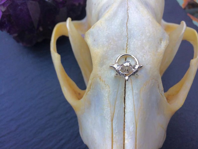 hypoallergenic septum ring