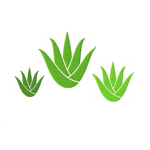 May include: Three green stylised aloe vera plants, with the largest plant in the centre and two smaller plants on either side.