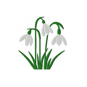 May include: A cluster of three white snowdrop flowers with green stems and leaves.