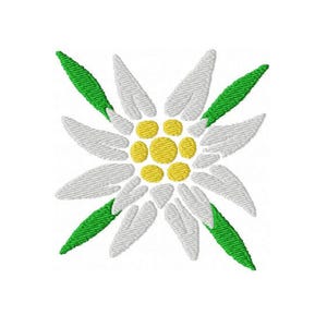 May include: Embroidered Edelweiss flower design. The flower has white petals with a textured appearance, a yellow center, and green leaves. The design is centered on a white background, suitable for patches or embroidery projects.