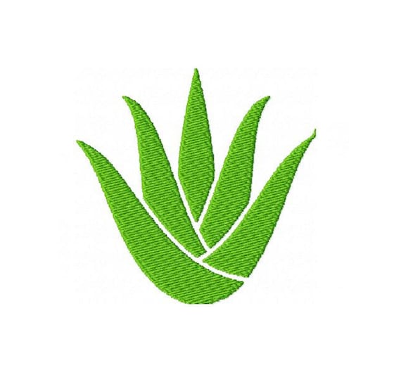 Aloe Vera Machine Embroidery Design Aloe Plant Design Mini Aloe Vera  Pattern in 3 Sizes - Etsy Denmark