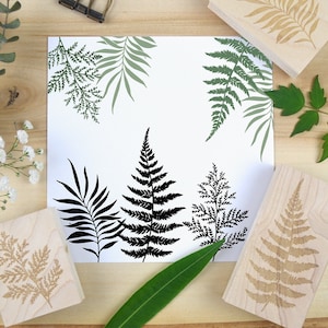 Tampons en caoutchouc de fougère et de feuillage - Timbre botanique de feuille tropicale, timbre d'art de jardin de plante de nature pour des fournitures de journal et des cartes de médias mélangés