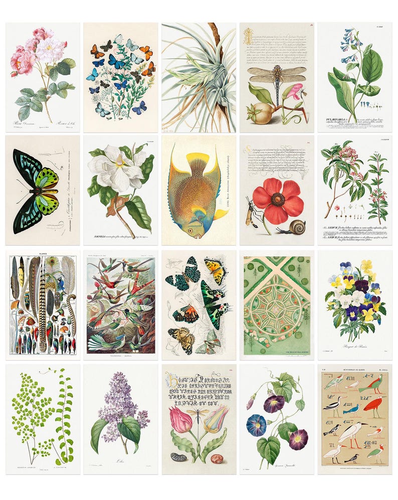 Postcard Set, 20 Vintage Botanical Designs, Natural History Postcards, Postcrossing, Penpal or Junk Journal Supplies image 2