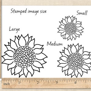 May include: Black and white line art of sunflowers in three sizes: large, medium, and small. The text "Stamped image size" is above the sunflowers. A ruler in inches is along the left side.