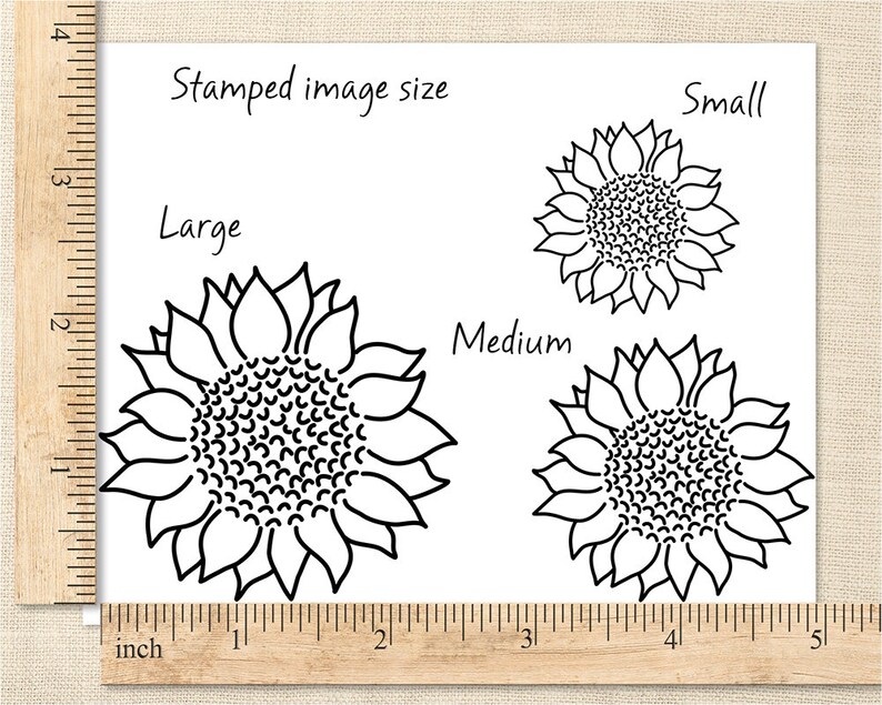 May include: Black and white line art of sunflowers in three sizes: large, medium, and small. The text "Stamped image size" is above the sunflowers. A ruler in inches is along the left side.